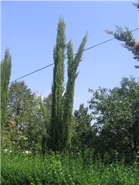 27c361a9-Gajn2010.jpg (39).jpg